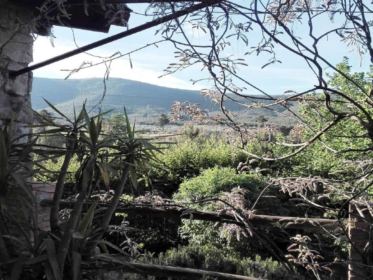 Naturaleza, Confort Y Vistas Inigualable En Casa Rural La Cumbre Gata Dış mekan fotoğraf