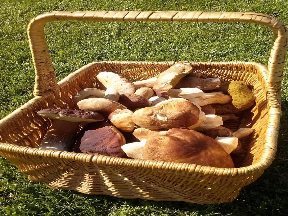 Naturaleza, Confort Y Vistas Inigualable En Casa Rural La Cumbre Gata Dış mekan fotoğraf