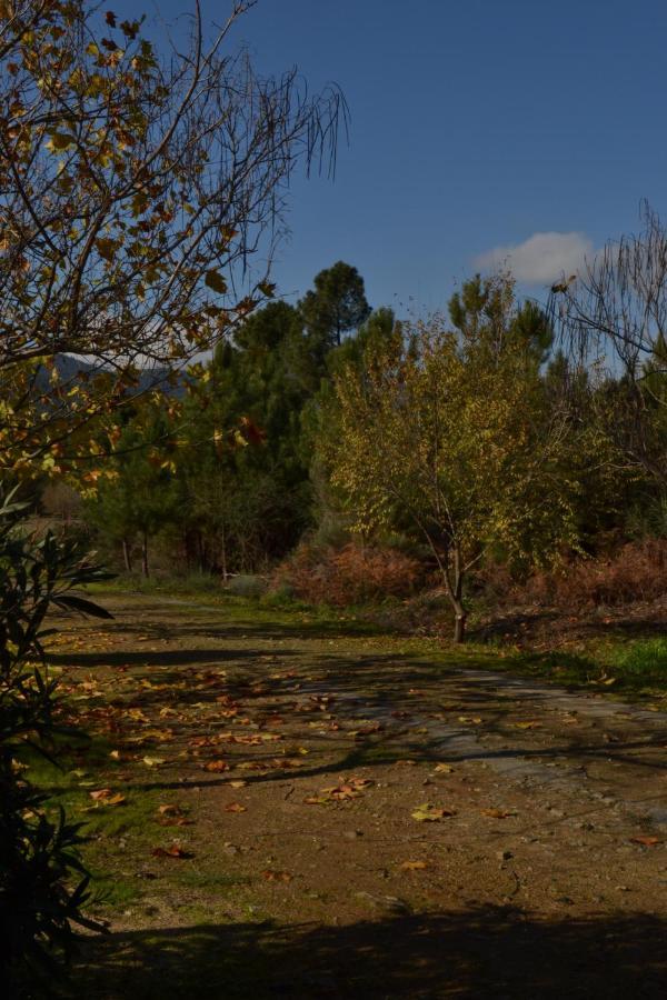 Naturaleza, Confort Y Vistas Inigualable En Casa Rural La Cumbre Gata Dış mekan fotoğraf