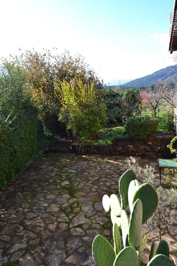 Naturaleza, Confort Y Vistas Inigualable En Casa Rural La Cumbre Gata Dış mekan fotoğraf